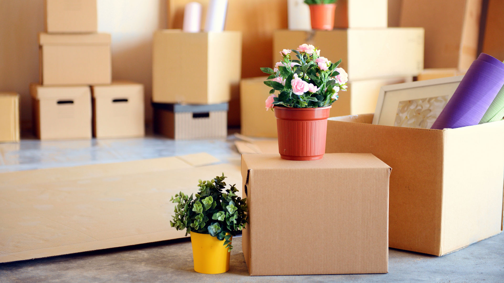 Charlotte Moving Company, Charlotte Movers, Charlotte Moving Service